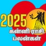 2025 புத்தாண்டு கன்னி ராசி பலன்கள்: உங்களுக்கு என்ன நடக்கும்?.. வாங்க பார்க்கலாம்..!