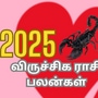 2025 புத்தாண்டு விருச்சிக ராசி பலன்கள்: சிக்கல்கள் இருக்குமோ.. ஒருவேளை இருக்குமோ.. என்னவா இருக்கும்!