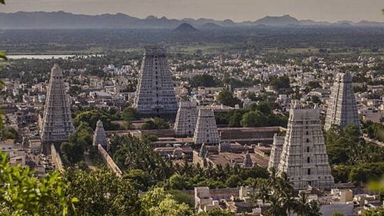 கிழக்கே ராஜகோபுரம் (217 அடி உயரம்), வீரவல்லாள கோபுரம், கிளி கோபுரம் (81 அடி உயரம்) இருக்கிறது. தெற்கே திருமஞ்சன கோபுரம் (157 அடி உயரம்), தெற்கு கட்டை கோபுரம் (70 அடி உயரம்)உள்ளது. மேற்கில் பேய் கோபுரம் (160 அடி உயரம்), மேற்கு கட்டை கோபுரம் (70 அடி உயரம்); வடக்கே அம்மணி அம்மன் கோபுரம் (171 அடி உயரம்), வடக்கு கட்டை கோபுரம் (45 அடி உயரம்) என்று 9 கோபுரங்கள் உள்ளன.