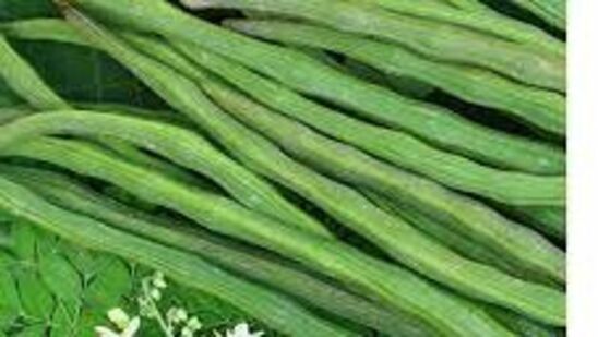 முருங்கையில் உள்ள ஆன்டி-ஆக்ஸிடன்ட்டுகள் நோய் எதிர்ப்பு சக்தியை அதிகரிக்கும். இந்த சேர்மங்கள் அனைத்தும் சேர்ந்து உடலை வெளியில் இருந்து வரும் பாக்டீரியா மற்றும் வைரஸ்களிலிருந்து பாதுகாக்கின்றன.&nbsp;