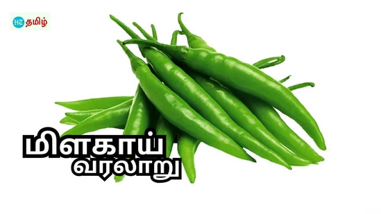 மிளகாய் உள்ளே நுழைந்த கதை.. இந்தியாவில் இதுதான் காரம்.. கருப்பு மிளகு ஒதுக்கப்பட்ட உணவு வரலாறு!