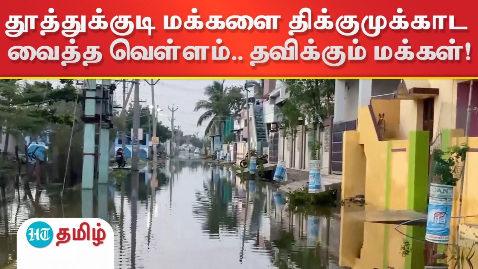 தூத்துக்குடியை திக்குமுக்காட வைத்த வெள்ளம்.. வீட்டைவிட்டு வெளியேற முடியாமல் தவிக்கும் மக்கள்!