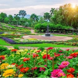 <p>இந்திரா காந்தி நினைவு துலிப் தோட்டம், ஸ்ரீநகர்<br>சுந்தர் தால் ஏரியின் பின்னணியில், இந்திரா காந்தி நினைவு துலிப் தோட்டம் இந்தியாவில் உள்ள ஒரு வகை பூங்காவாகும். இது ஸ்ரீநகரில் உள்ள ஜபர்வான் மலைத்தொடரின் அடிவாரத்தில் அமைந்துள்ளது. இது ஆசியாவின் மிகப்பெரிய துலிப் தோட்டமாக பிரபலமானது. இங்கு 48 வகையான துலிப் மலர்கள் காணப்படுகின்றன.</p>