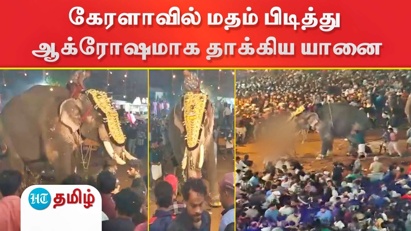 Elephant Attack: திருவிழாவில் மதம்படித்த யானையிடம் சிக்கிய நபர்.. தலைகீழாக தூக்கி வீசிய சம்பவம் - கேரளாவில் அதிர்ச்சி