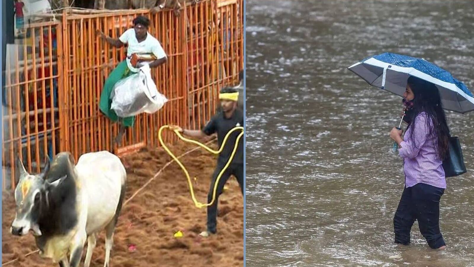 Top 10 News: அவனியாபுரம் ஜல்லிக்கட்டு முதல் தென் மாவட்டங்களுக்கு இன்று கனமழை எச்சரிக்கை வரை - டாப் 10 நியூஸ் இதோ!