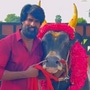 50 முறைக்கு மேல் பிடிபடாத மாடு.. அலங்காநல்லூர் ஜல்லிக்கட்டில் சீறி பாய்ந்த சூரியின் காளை.. என்ன பரிசு?