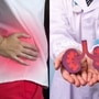 Kidney Stones: சிறுநீரக கற்கள் எதனால் உருவாகிறது?.. அறிகுறிகள் என்ன?.. தடுப்பு முறைகள் என்ன? - மருத்துவர் கூறும் ஆலோசனை!