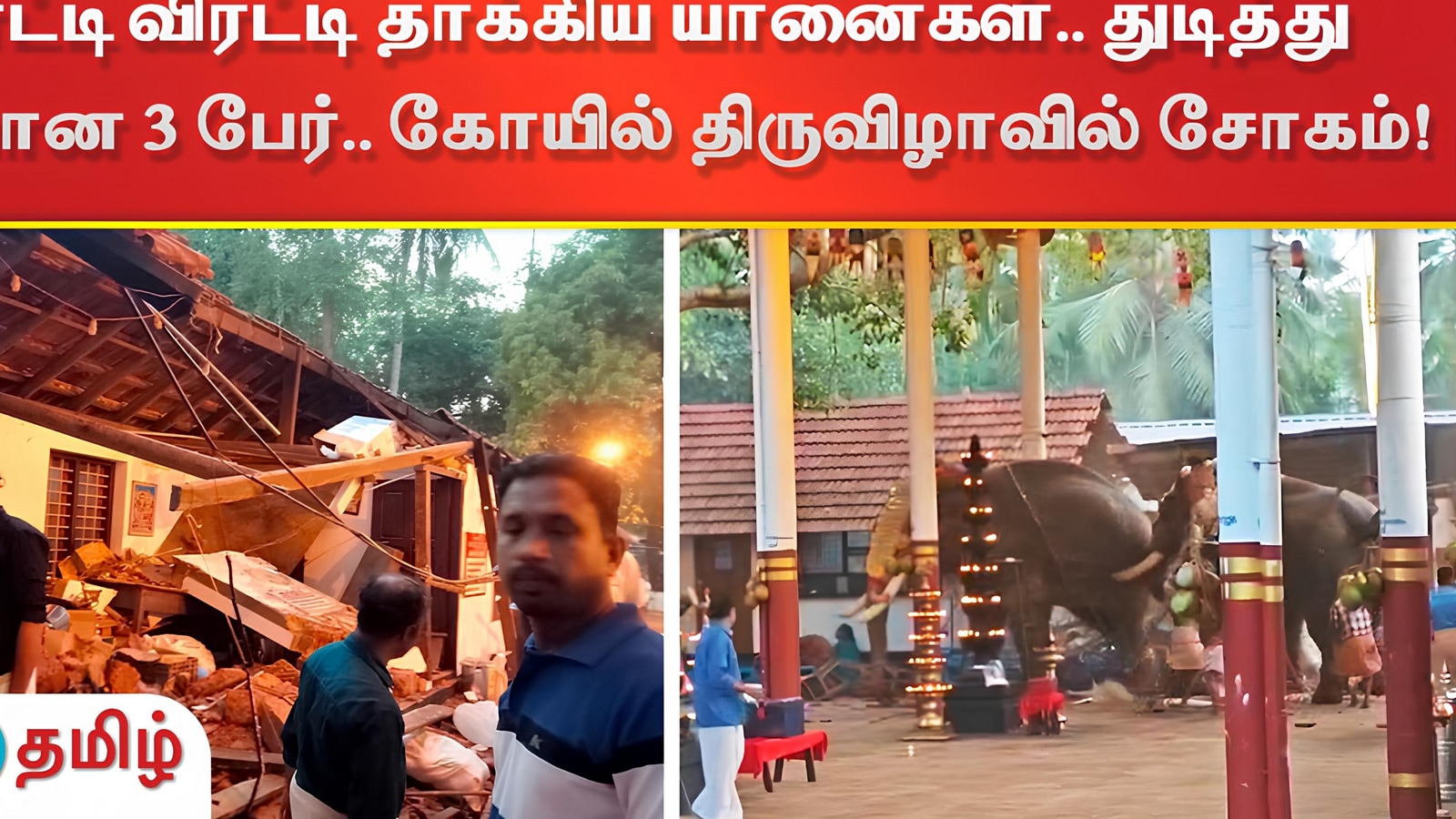 Elephant Attack: விரட்டி விரட்டி தாக்கிய யானைகள்.. துடித்து பலியான 3 பேர்.. கோயில் திருவிழாவில் சோகம்!