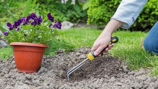 சமையல் எண்ணெய் புழுக்களை அகற்ற உதவுகிறது. சமையல் எண்ணெய் மற்றும் தண்ணீருடன் சிறிது சர்ஃப் கலந்து செடிகளுக்கு அடிக்கடி பயன்படுத்துவது நன்மைகளைத் தரும். எண்ணெய் இருப்பதால், பூச்சிகள் வராது, வந்தாலும், அவை எண்ணெயில் ஒட்டிக்கொள்கின்றன.&nbsp;