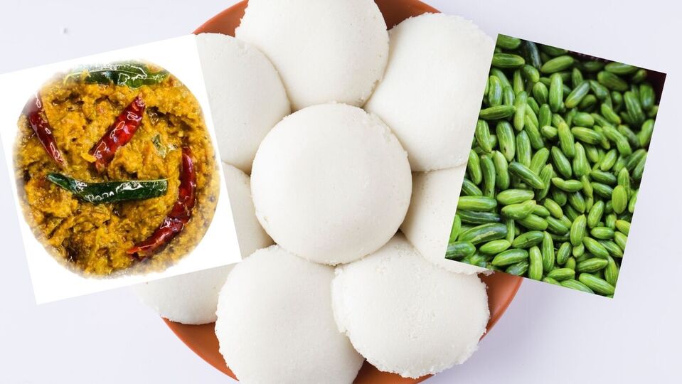 Kovakkai Chutney: சுவையான ஆந்திரா ஸ்டைலில் கோவக்காய் சட்னியை செய்யுங்க.. அப்புறம் பாருங்க அடிக்கடி செய்வீங்க..!