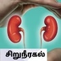 Kidney Stone : 'சிறுநீர கல்: ' ஹோமியோபதி மருத்துவம் சொல்லும் வழிமுறைகள்' மருத்துவர் ஜானகி பேட்டி இதோ!