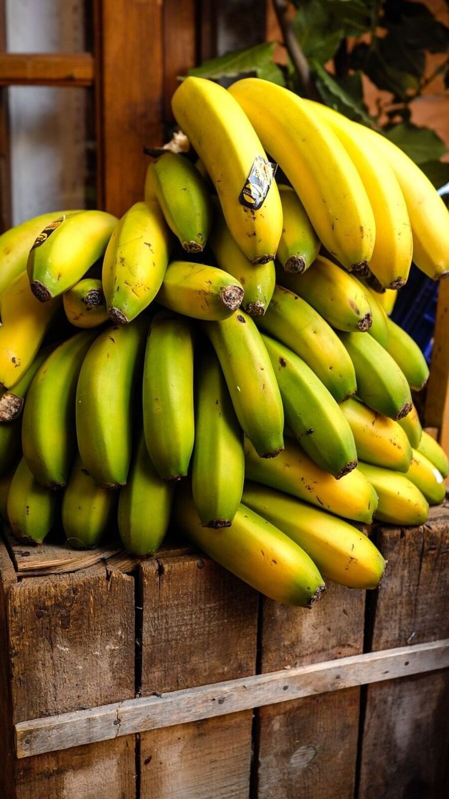 தினமும் வாழைப்பழம் சாப்பிடுவதில் இவ்வளவு விஷயம் இருக்கா.. அற்புதமான சில பலன்கள்!