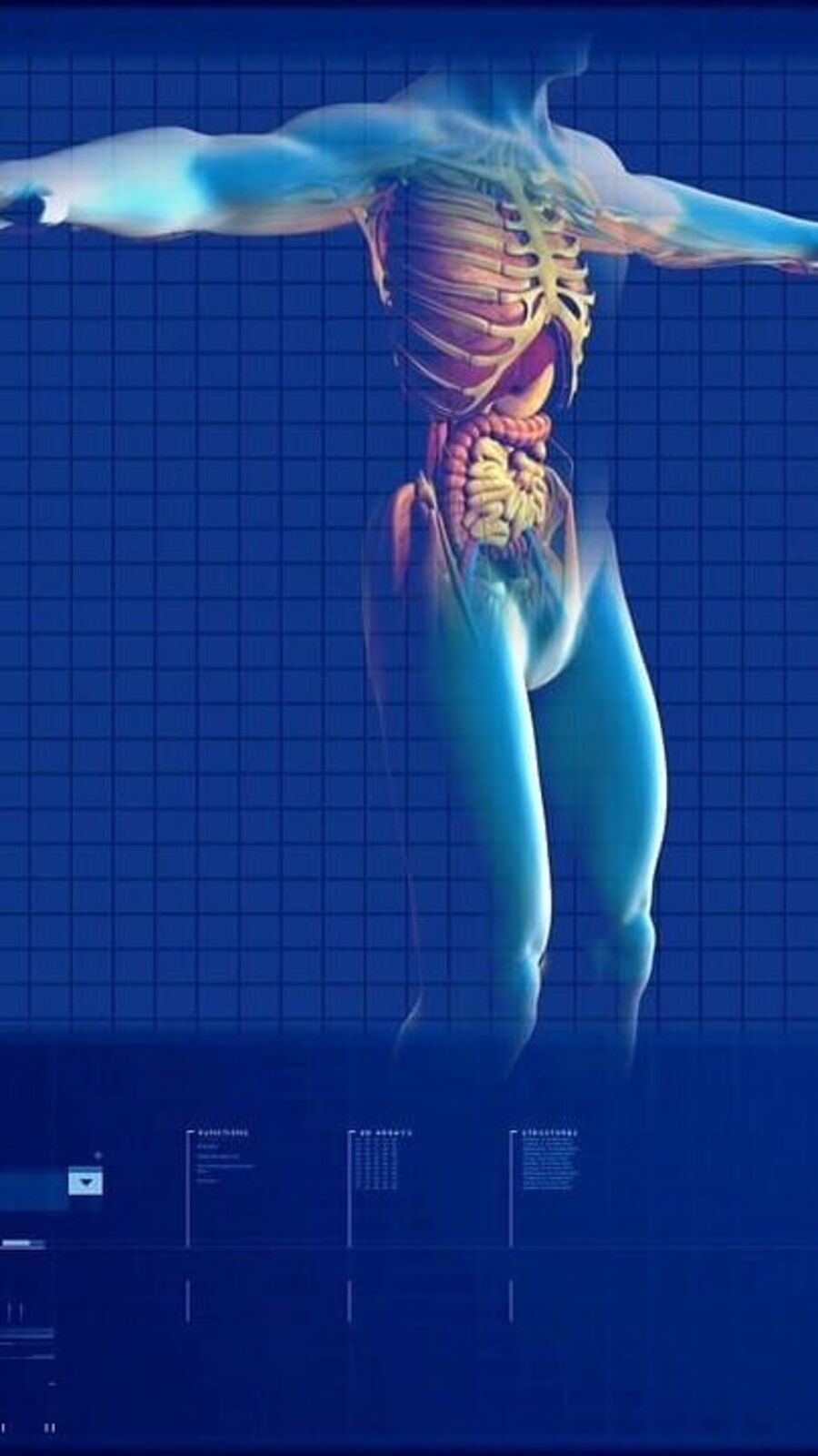 சிறுநீரக் கற்களை வராமல் தடுக்க உதவும் வாழ்வியல்  மாற்றங்கள்
