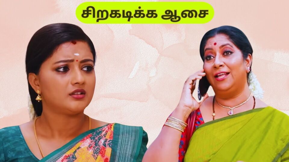 சிறகடிக்க ஆசை சீரியல் மார்ச் 7 எபிசோட் : மீனாவுக்கு எதிராக சிந்தாமணி போடும் பிளான்.. இதில் இருந்து தப்பிப்பாரா மீனா?