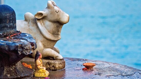 பிரதோஷ நாளில் ராசிக்கு ஏற்ப சில விஷயங்களை செய்வதன் உதவியுடன், நீங்கள் வாழ்க்கையின் துக்கம் மற்றும் வலி மற்றும் நிதி நெருக்கடிகளில் இருந்து விடுபடலாம்.&nbsp;