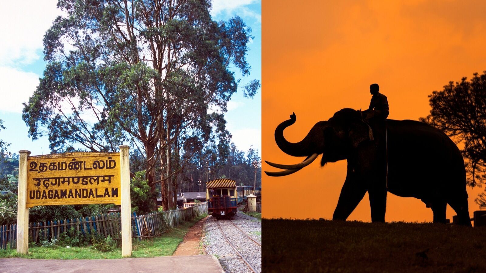 IRCTC Tour Package : ‘ஊட்டி.. முதுமலை பட்ஜெட் டூர் போலாமா?’ சென்னையில் இருந்து செல்ல செலவு இவ்வளவு தான்!