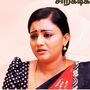 சிறகடிக்க ஆசை சீரியல் மார்ச் 14 எபிசோட் : மீனா போட்ட ஸ்கெட்ச்.. கையும் களவுமாக சிக்கிய சிந்தாமணி.. பளார் விட்ட ஓனர்!