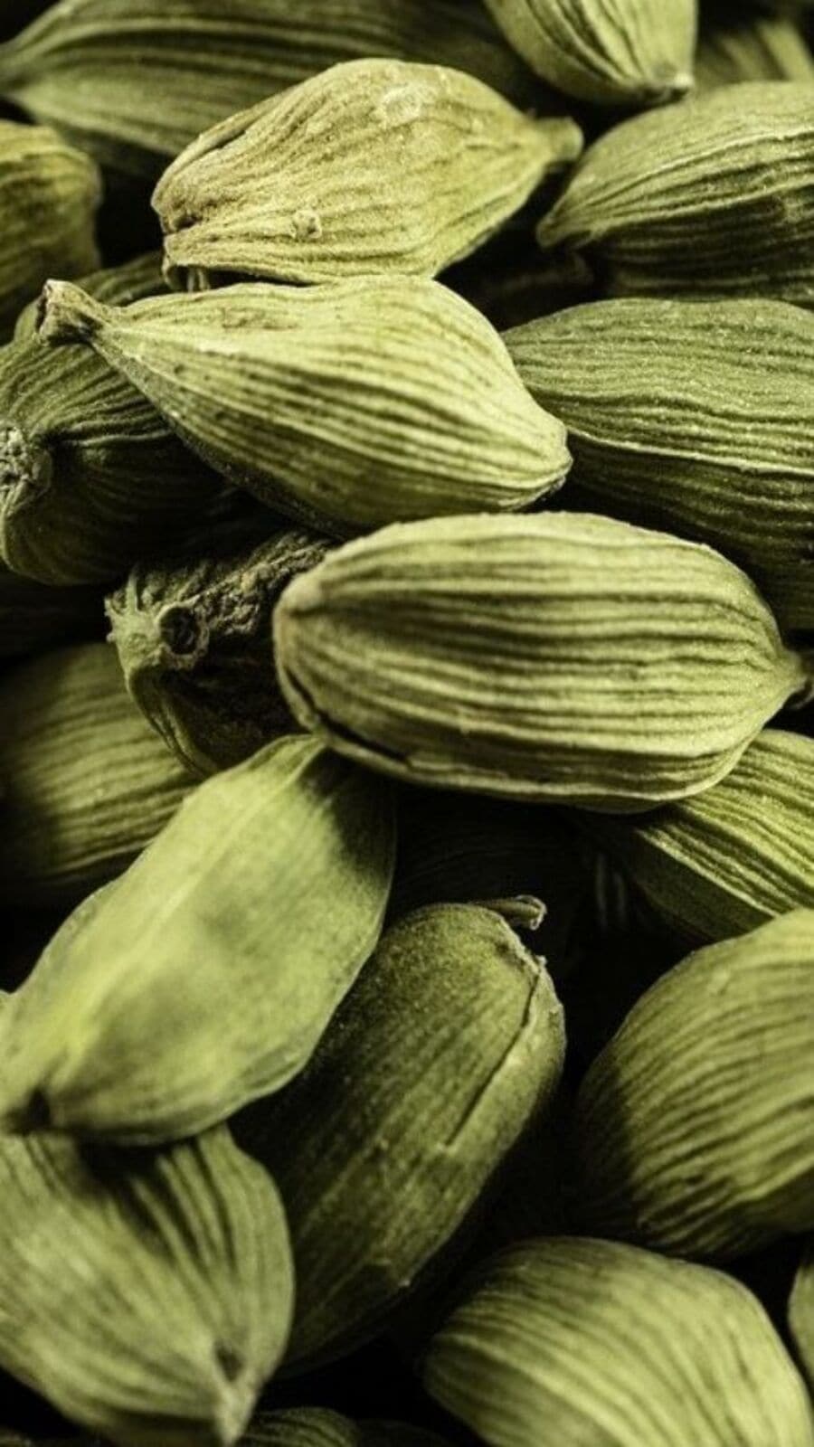 இரவில் சாப்பிட்ட பின்னர் ஏலக்காய் மென்று சுவைப்பதால் கிடைக்கும் நன்மைகள்