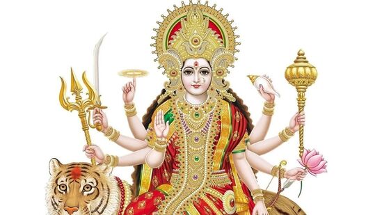இந்து காலண்டர் படி, 2025 ஆம் ஆண்டு சைத்ரா நவராத்திரி மார்ச் 30 ஆம் தேதி தொடங்கி ஏப்ரல் 6ஆம் தேதி வரை 8 நாட்கள் கொண்டாடப்படுகிறது. இந்த ஆண்டு நவராத்திரி ஞாயிற்றுக்கிழமை தொடங்குவதால், தேவியின் வாகனம் யானை. சைத்ரா நவராத்திரியின் முதல் நாள் இந்து புத்தாண்டு தொடங்குகிறது. சைத்ரா நவராத்திரியில், தேவி துர்க்கையின் ஒன்பது அவதாரங்கள் வழிபடப்படுகின்றன. 