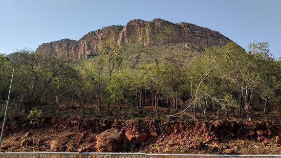 மேலும் பி.ஆர். நாயுடு கூறுகையில், ‘’கோயில் சடங்குகளை நடத்துவதில் வாரியத்தை வழிநடத்துவதற்கான ஆலோசனைக் குழுவான ’புதிய ஆகம சலஹா மண்டலியை’ உருவாக்கவும் வாரியம் ஒப்புதல் அளித்துள்ளது’’ என்றார், பி.ஆர்.நாயுடு.