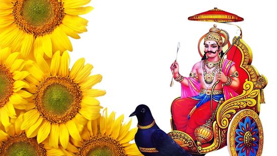 சனி பகவான் 30 ஆண்டுகளுக்கு பிறகு தனது சொந்தமான ராசியான கும்பராசிகள் பயணம் செய்திருக்கின்றார். இவருடைய இடமாற்றம் 12 ராசிகளுக்கும் தாக்கத்தை ஏற்படுத்தும் என ஜோதிட சாஸ்திரம் கூறுகிறது. அந்த வகையில் சனிபகவான் இந்த 2025 ஆம் ஆண்டு மார்ச் 29ஆம் தேதி அன்று மீன ராசிக்கு செல்கின்றார். 