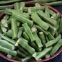 முருங்கைக்காய் : உடலுக்கு இத்தனை ஊட்டச்சத்துக்கள் வேண்டுமா? அப்போ இந்தக்காய் போதும்! ஊட்டச்சத்து நிபுணர் விளக்கம்!
