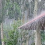 Rain Update: வங்கக்கடலில் ஆழ்ந்த காற்றழுத்த தாழ்வு பகுதி.. மேற்குத்தொடர்ச்சி மலைப் பகுதிகளில் கனமழை பெய்ய வாய்ப்பு