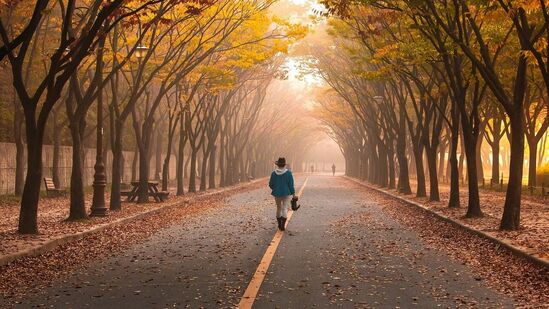 10,000 ஸ்டெப்கள் உடல் எடையை குறைக்க அல்லது கொழுப்பை குறைக்க உதவும் என்று வலியுறுத்திய விமல், “இது [10 ஆயிரம் ஸ்டெப்கள் நடப்பது] கொழுப்பை இழக்க மிகவும் குறைவாக மதிப்பிடப்பட்ட வழியாகும். ஜிம்மில் மணிக்கணக்கில் பயிற்சி செய்ய வேண்டிய அவசியம் இல்லை. நீங்கள் ஓடத் தேவையில்லை. சும்மா வெளிய வந்துட்டு போங்க” என்கிறார்.