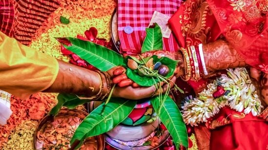 வடம் என்றால் விழுது என்று பொருள். ஆலமரத்தின் பலமே அதன் விழுதுகளில் தான் இருக்கிறது. அதுப்போல ஒரு பெண்ணின் பலம் அவளின் கணவனை பொருத்துதான் இருக்கிறது. நல்ல கணவன் அமையவும், மாங்கல்ய பலம் பெருகவும் கன்னிப்பெண்களும் சுமங்கலி பெண்களும் ஆல மர விழுதுகளில் பூஜை செய்து அனுஷ்டிக்கும் தினமாகும்.