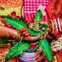 வடம் என்றால் விழுது என்று பொருள். ஆலமரத்தின் பலமே அதன் விழுதுகளில் தான் இருக்கிறது. அதுப்போல ஒரு பெண்ணின் பலம் அவளின் கணவனை பொருத்துதான் இருக்கிறது. நல்ல கணவன் அமையவும், மாங்கல்ய பலம் பெருகவும் கன்னிப்பெண்களும் சுமங்கலி பெண்களும் ஆல மர விழுதுகளில் பூஜை செய்து அனுஷ்டிக்கும் தினமாகும். <p>வடம் என்றால் விழுது என்று பொருள். ஆலமரத்தின் பலமே அதன் விழுதுகளில் தான் இருக்கிறது. அதுப்போல ஒரு பெண்ணின் பலம் அவளின் கணவனை பொருத்துதான் இருக்கிறது. நல்ல கணவன் அமையவும், மாங்கல்ய பலம் பெருகவும் கன்னிப்பெண்களும் சுமங்கலி பெண்களும் ஆல மர விழுதுகளில் பூஜை செய்து அனுஷ்டிக்கும் தினமாகும்.</p>