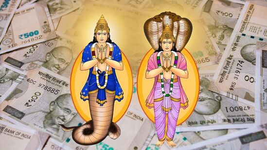 வேத ஜோதிட சாஸ்திரத்தின் படி நிழல் கிரகமாக விளங்க கூடியவர். கேது பகவான் இவர் எப்போதும் பின்னோக்கிய பயணத்தில் இருக்கக்கூடியவர். கேது பகவான் ஒரு ராசியில் இருந்து மற்றொரு ராசிக்கு சொல்ல 18 மாதங்கள் எடுத்துக் கொள்கிறார். 