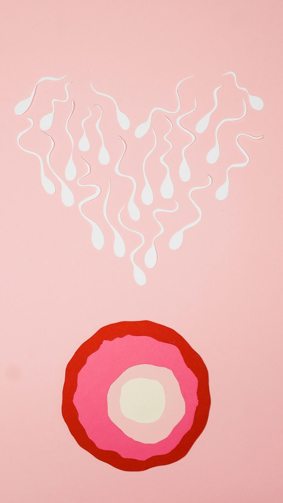 விந்தனுக்களின் தரத்தை அதிகரிக்க உதவும் பழக்க வழக்கங்கள்!