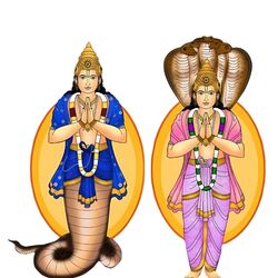<p>ஜோதிட சாஸ்திரத்தின் படி நவகிரகங்களில் நிழல் கிரகமாக விளங்க கூடியவர் ராகு பகவான். இவர் எப்போதும் பின்னோக்கிய பயணத்தில் இருக்கக்கூடியவர். ராகு பகவானுக்கு சொந்த ராசி கிடையாது ராகு பகவான் ஒரு ராசியில் இருந்து மற்றொரு ராசிக்கு செல்வதற்கு 18 மாதங்கள் எடுத்துக் கொள்கிறார். </p>