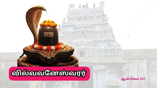 புலியாக மாறிய சிவபெருமான்.. வில்வ இலையால் அபிஷேகம் செய்த வேடன்.. மகா சிவராத்திரி பிறந்த கோயில்! புலியாக மாறிய சிவபெருமான்.. வில்வ இலையால் அபிஷேகம் செய்த வேடன்.. மகா சிவராத்திரி பிறந்த கோயில்!