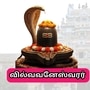 புலியாக மாறிய சிவபெருமான்.. வில்வ இலையால் அபிஷேகம் செய்த வேடன்.. மகா சிவராத்திரி பிறந்த கோயில்! புலியாக மாறிய சிவபெருமான்.. வில்வ இலையால் அபிஷேகம் செய்த வேடன்.. மகா சிவராத்திரி பிறந்த கோயில்!