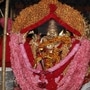 தொழிலில் லாபம் பெற வியாழக்கிழமை என்ன செய்ய வேண்டும்?.. ஏகாதசி தினமான இன்று நல்ல நேரம், ராகு காலம் எப்போது?.. விபரம் இதோ