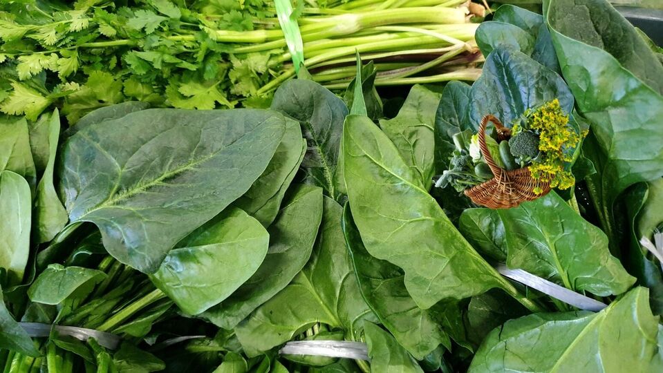 தோட்டக்கலை குறிப்புகள் : பால்கனி தோட்டத்தில் வளர்க்கக் கூடிய கீரைகள் மற்றும் மூலிகைகள் என்னவென்று பாருங்கள்!