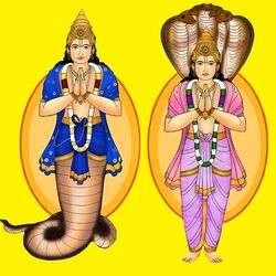 <p>ஜோதிட சாஸ்திரத்தின் படி நவகிரகங்களில் நிழல் கிரகமாக விளங்க கூடியவர் ராகு பகவான். இவர் எப்போதும் பின்னோக்கிய பயணத்தில் இருக்கக்கூடியவர். இவர் ஒரு ராசியில் இருந்து மற்றொரு ராசிக்கு செல்ல 18 மாதங்கள் எடுத்துக் கொள்கிறார். சனி பகவானுக்கு பிறகு மிகவும் மெதுவாக நகரக்கூடிய கிரகமாக ராகு பகவான் விளங்கி வருகின்றார். இவருக்கு என்ன சொந்த ராசி கிடையாது. </p>