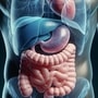 Liver_damage_foods Liver_damage_foods