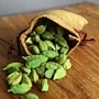 cardamom cardamom