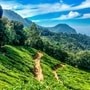 kerala kerala