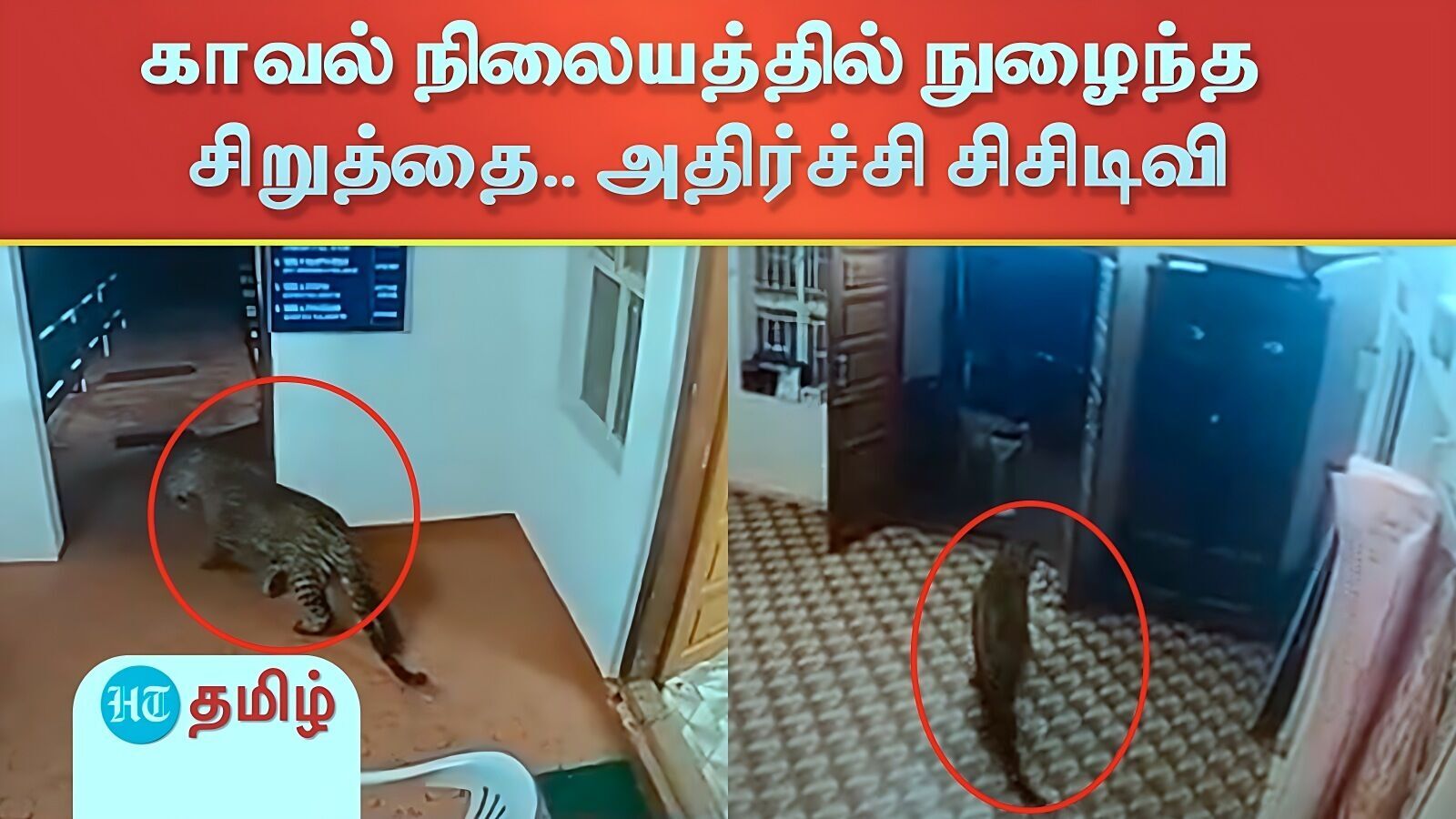 "யாராவது இருக்கீங்களா?" காவல் நிலையத்தில் நுழைந்த சிறுத்தை.. நைசாக கதவை பூட்டிய காவலர்! சிசிடிவி