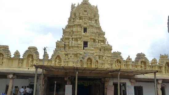 சர்வ ஏகாதசியன்று அரச மரத்தடியில் நெய் தீபம் ஏற்றி, வலம் வந்தால் மகாவிஷ்ணுவுக்கும், லட்சுமி தேவிக்கும் அருள் கிடைக்கும். இப்படி செய்வதன் மூலம் வீட்டின் வறுமையை போக்க முடியும்.
