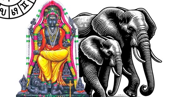 கஜகேசரி பண மழை கொட்டும் ராசிகள்.. மிதுனத்தில் குரு சந்திரன் சேர்க்கை.. அபூர்வ ராசிகள் நீங்கதான்! கஜகேசரி பண மழை கொட்டும் ராசிகள்.. மிதுனத்தில் குரு சந்திரன் சேர்க்கை.. அபூர்வ ராசிகள் நீங்கதான்!
