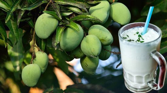 மாங்காய் மோர் : வெயில் தாங்க முடியவில்லையா? மோர் பருகினால் நன்றாக இருக்குமா? இதோ ஸ்பெஷல் ரெசிபி! மாங்காய் மோர் : வெயில் தாங்க முடியவில்லையா? மோர் பருகினால் நன்றாக இருக்குமா? இதோ ஸ்பெஷல் ரெசிபி!