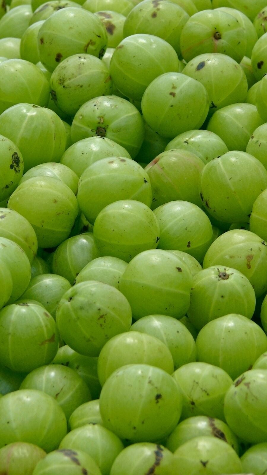 தினமும் நெல்லிக்காய் சாப்பிடுவதால் சருமத்திற்கு கிடைக்கும் பலன்களை பாருங்க!