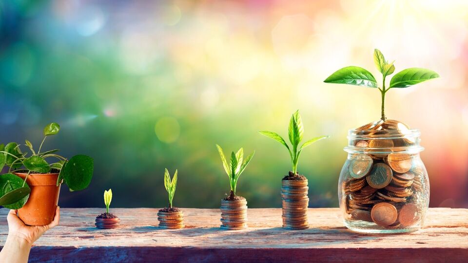 வாஸ்து டிப்ஸ்: மணி பிளாண்ட் தொடர்பான இந்த 5 வாஸ்து தீர்வுகளை கண்டிப்பா ஃபாலோ பண்ணுங்க!