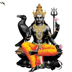 <p>ஜோதிட சாஸ்திரத்தின் படி நவக்கிரகங்களின் நீதிமானாக விளங்க கூடியவர் சனி பகவான். இவர் 2 அரை ஆண்டுகளுக்கு ஒருமுறை தனது ராசி மாற்றத்தை செய்யக்கூடியவர். 400 நாட்களுக்கு ஒரு முறை நட்சத்திர இடமாற்றத்தை செய்யக்கூடியவர். சனி பகவான் தோராயமாக தனது ராசி சுழற்சியை முடிப்பதற்கு 30 ஆண்டுகளில் எடுத்துக் கொள்கிறார். நவகிரகங்களின் மிகவும் மெதுவாக நகரக்கூடிய கிரகமாக சனிபகவான் விளங்கி வருகின்றார். செய்யும் செயலுக்கு ஏற்ப பிரதிபலன்களை திருப்பிக் கொடுக்கின்ற காரணத்தினால் சனி பகவானை கண்டால் அனைவரும் அச்சப்படுவார்கள். </p>