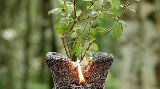 உரம் பயன்படுத்தும் முறை: இந்த இயற்கை உரத்தை 15 நாட்களுக்கு ஒரு முறை துளசி செடியின் அடிப்பகுதியில் ஊற்றவும். உரத்துடன் கலந்த தண்ணீரை மாலையில் மட்டுமே செடியின் மீது ஊற்ற வேண்டும் என்பதை நினைவில் கொள்ளுங்கள். இதனால் தாவரத்தின் வேர்கள் மற்றும் மண்ணில் நீண்ட நேரம் தண்ணீர் தேங்கி நிற்கிறது. உரம் பயன்படுத்தும் முறை: இந்த இயற்கை உரத்தை 15 நாட்களுக்கு ஒரு முறை துளசி செடியின் அடிப்பகுதியில் ஊற்றவும். உரத்துடன் கலந்த தண்ணீரை மாலையில் மட்டுமே செடியின் மீது ஊற்ற வேண்டும் என்பதை நினைவில் கொள்ளுங்கள். இதனால் தாவரத்தின் வேர்கள் மற்றும் மண்ணில் நீண்ட நேரம் தண்ணீர் தேங்கி நிற்கிறது.