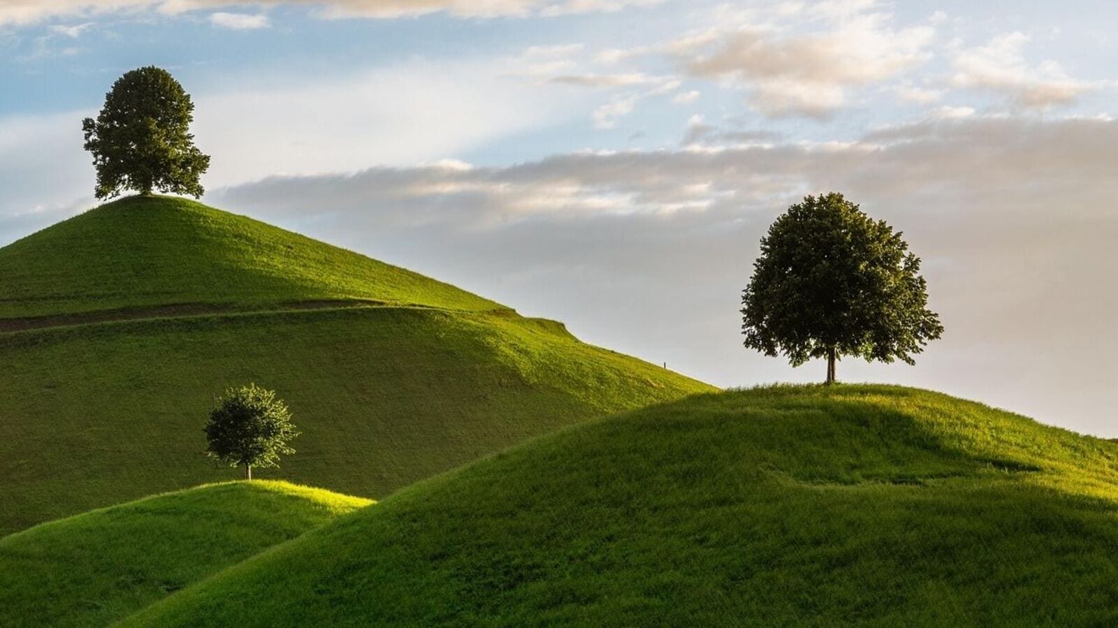 பல்லுயிர் பெருக்கத்தைக் கெடுக்கும் நீலகிரியில் அமையவுள்ள பசுமை ஆற்றல் திட்டங்கள் – நிபுணர்கள் அலசல்!